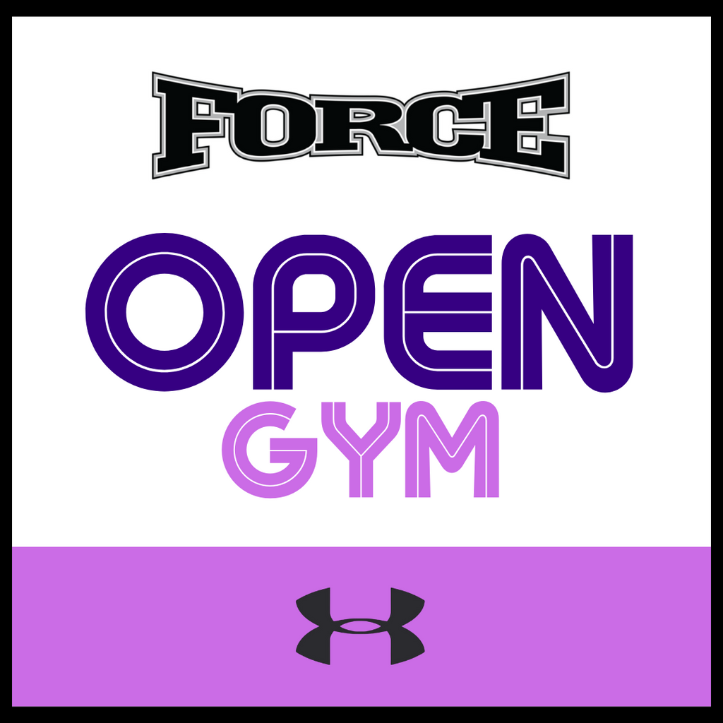 Open Gyms (Ages 10-18)
