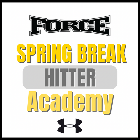 Spring Break Hitters Academy (Ages 14-18)