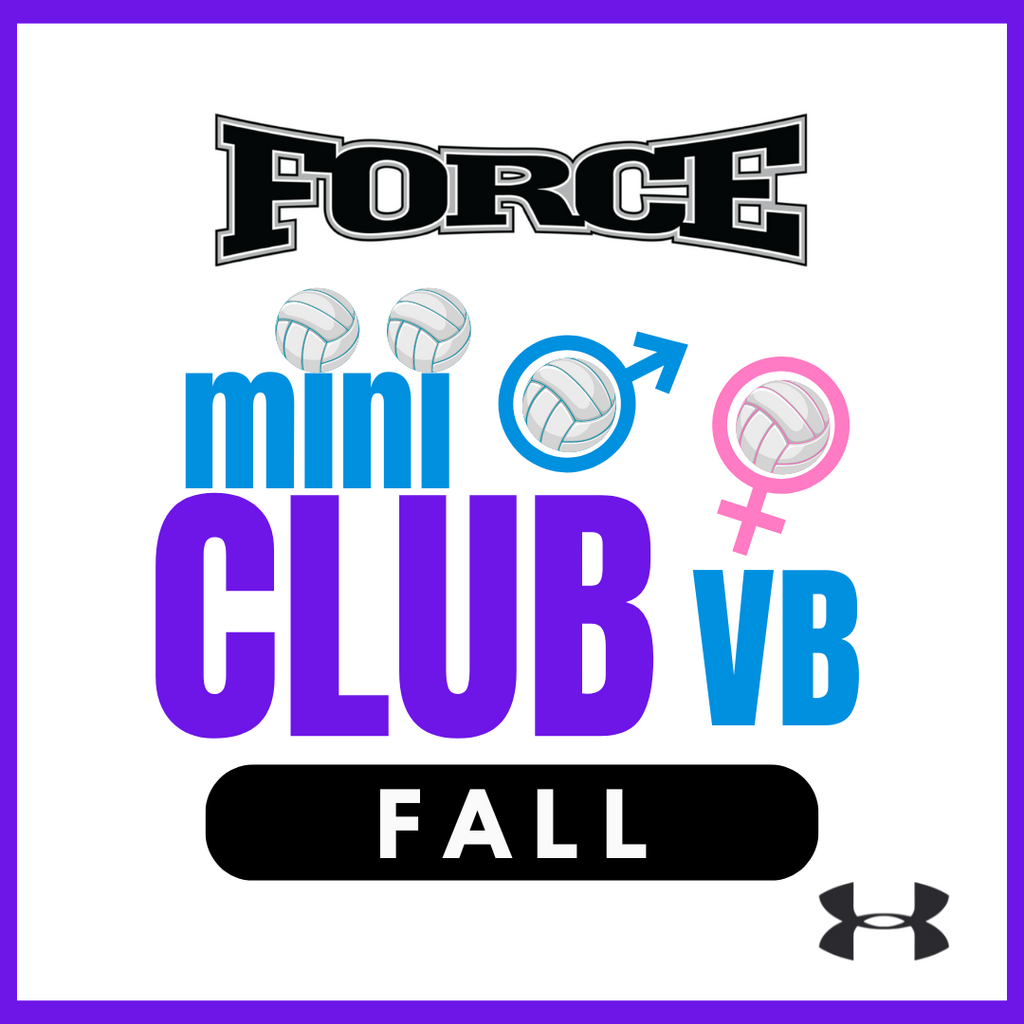 FALL miniCLUB VOLLEYBALL LEAGUE