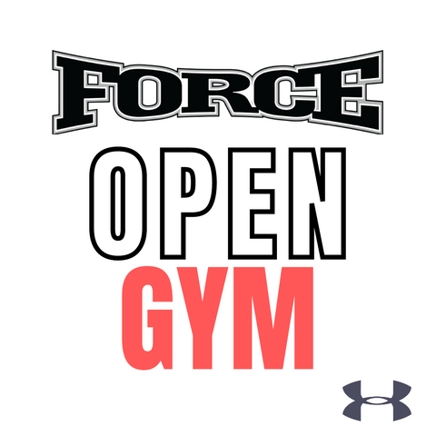 Open Gyms (Ages 8-18)